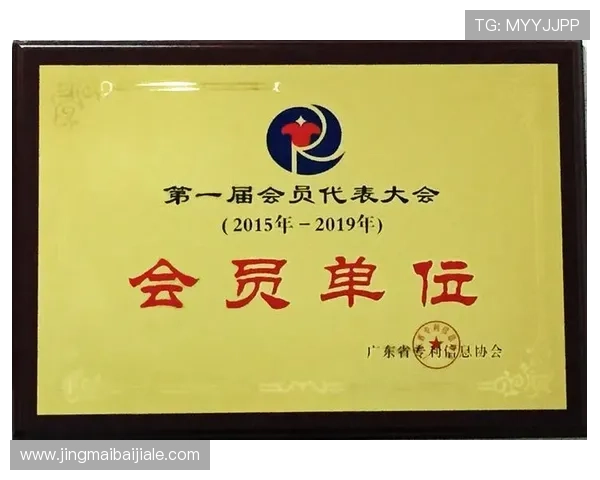 广东ag贵宾会会员等级划分及权益提升指南全攻略