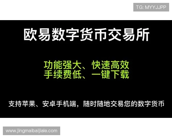 真人国际厅官网各类支付方式详解，便捷快速充值保障资金安全