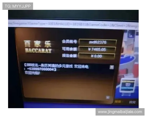 优质ag百家乐平台的技术保障与隐私保护措施详解确保玩家信息安全