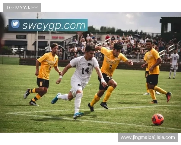 开云体育真人在线竞技平台打造沉浸式体育娱乐体验让你享受最真实的比赛氛围