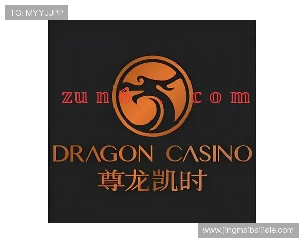 尊龙凯时百家乐未来发展趋势分析引领玩家把握行业新机遇