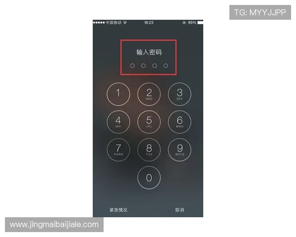 如何快速安全地下载ag视讯官网官方客户端并完成安装步骤详解