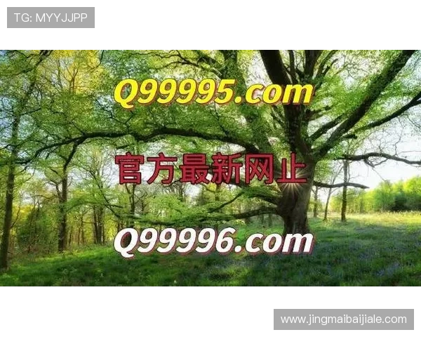 AG真人平台的用户评价与口碑分析,选择最值得信赖的真人游戏平台 AG真人平台的用户评价与口碑分析,选择最值得信赖的真人游戏平台