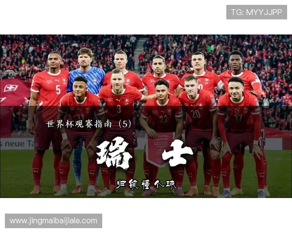 全面了解瑞士和加拿大在世界杯中的主办城市及其赛事亮点和观赛体验